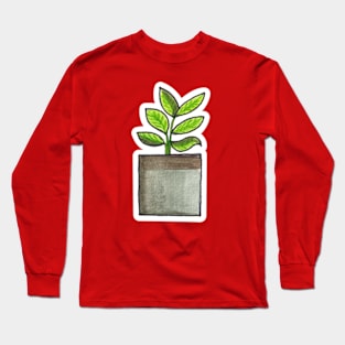 Calathea Vittata / Prayer Plant - House Plant Watercolour Long Sleeve T-Shirt